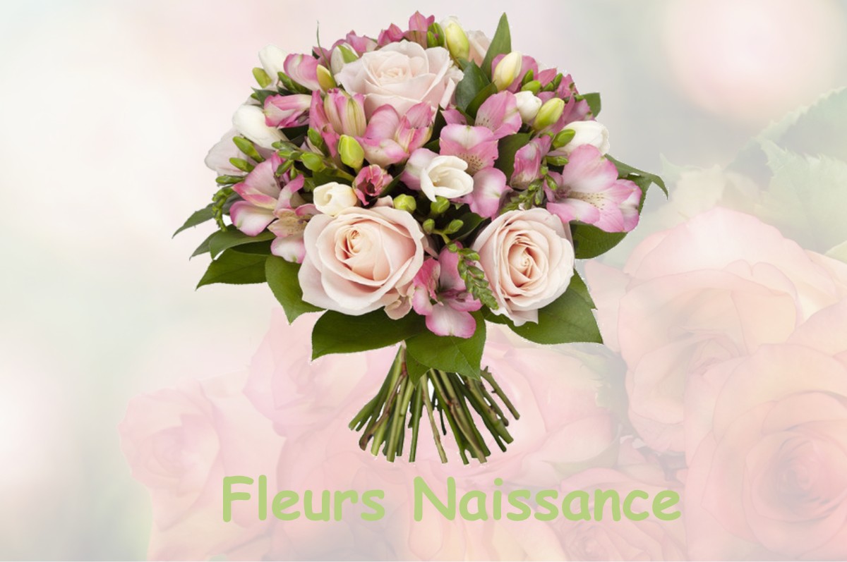 fleurs naissance CORBEILLES