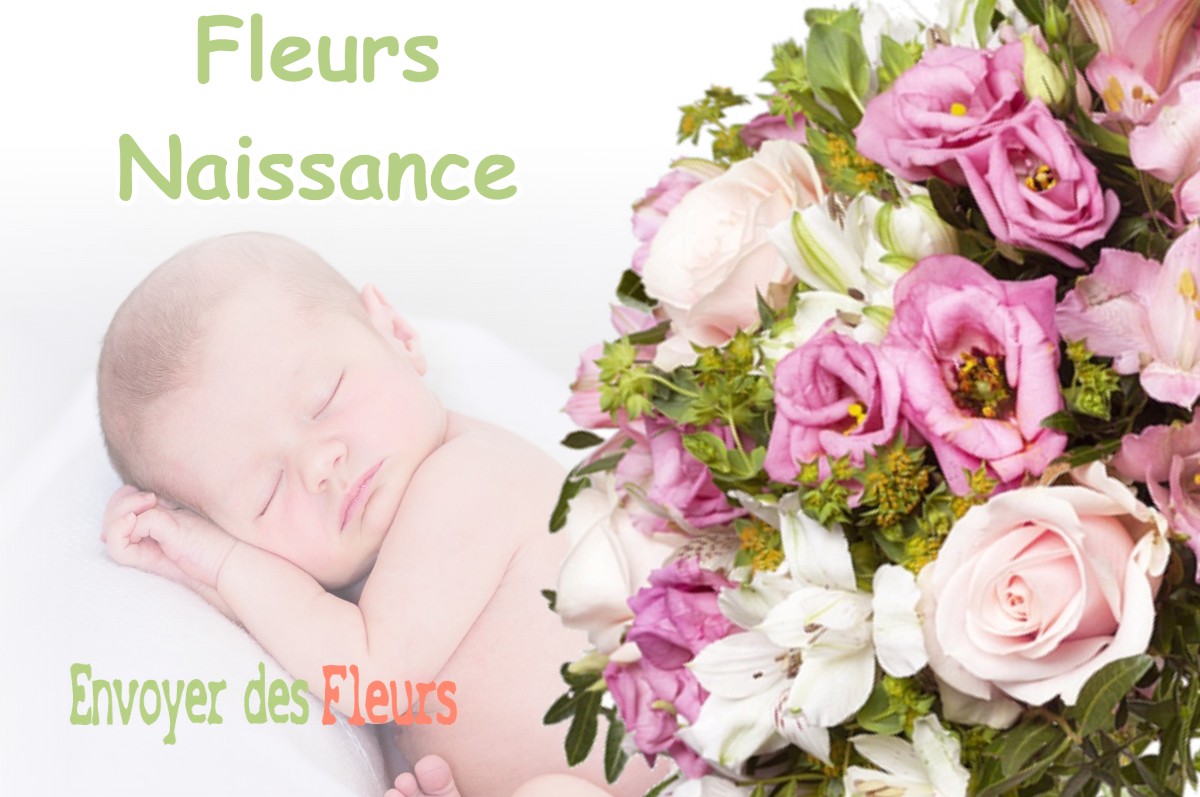 lIVRAISON FLEURS NAISSANCE à CORBEILLES